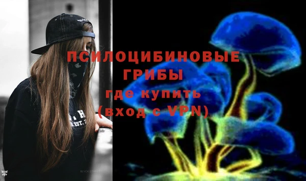 гидра Бородино