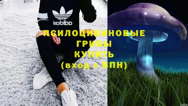 гидра Бородино