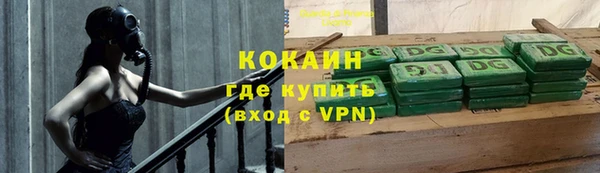 гидра Бородино