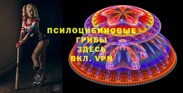 а пвп мука Богданович