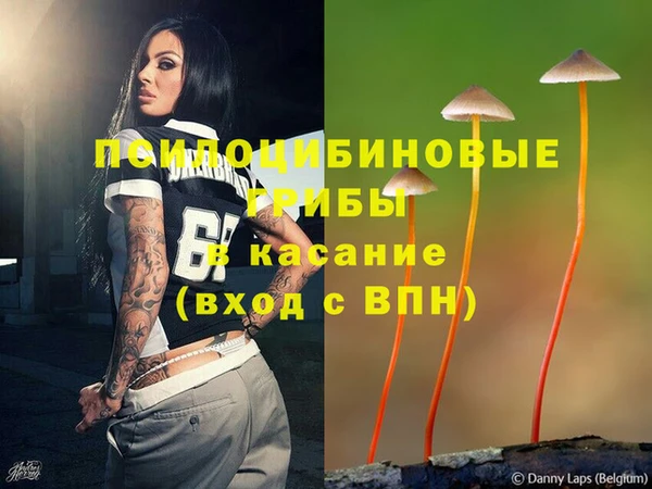 гидра Бородино