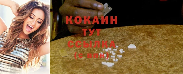 гидра Бородино