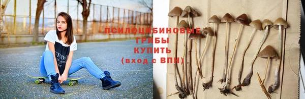 гидра Бородино