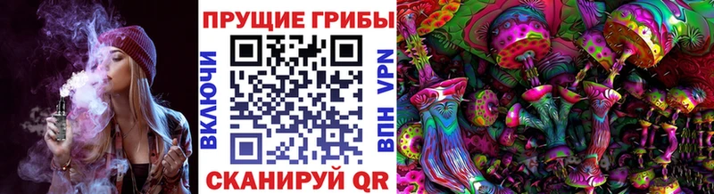 mega онион  Когалым  Галлюциногенные грибы Psilocybine cubensis 
